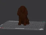 Cachorro Cocker-1