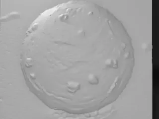 snowball, hand-formed round clump with textured powdery surf