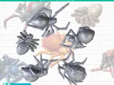 Dead Spiders (Harvest of War)-0