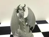 Vigilant dragon-3