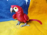 Scarlet Macaw-2