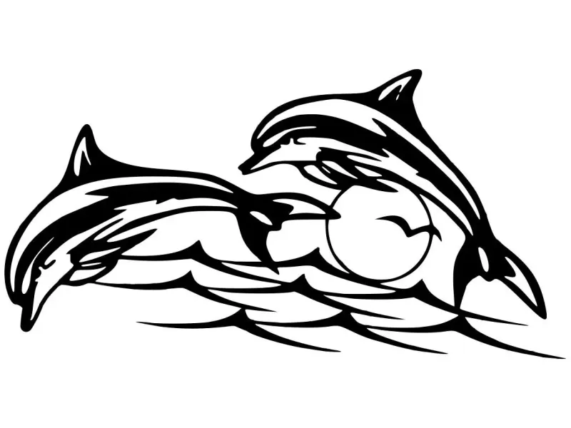 Dolphins Wall Art