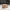 Volpe Addormentata Low Poly