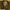 Albus Dumbledore Figure