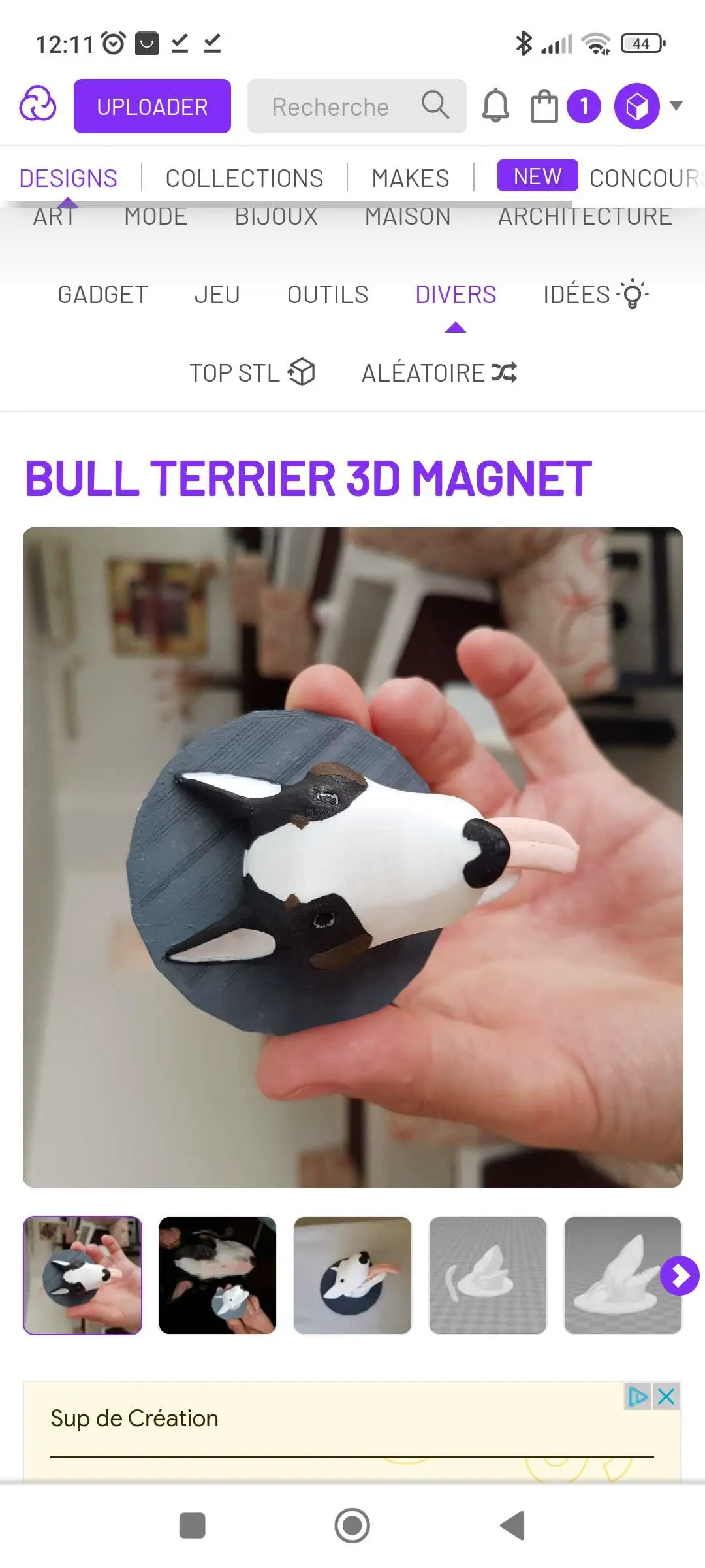 bull terre 