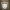 Apex Legends - Lifeline