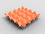 Egg Tray-5