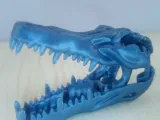 Crocodile Skull-0