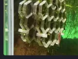 hexagon gitter -0