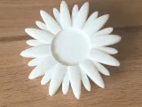 Daisy Photo Frame-6