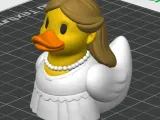 Groom Duck-4