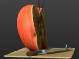 BUTTERFLY APPLE-4