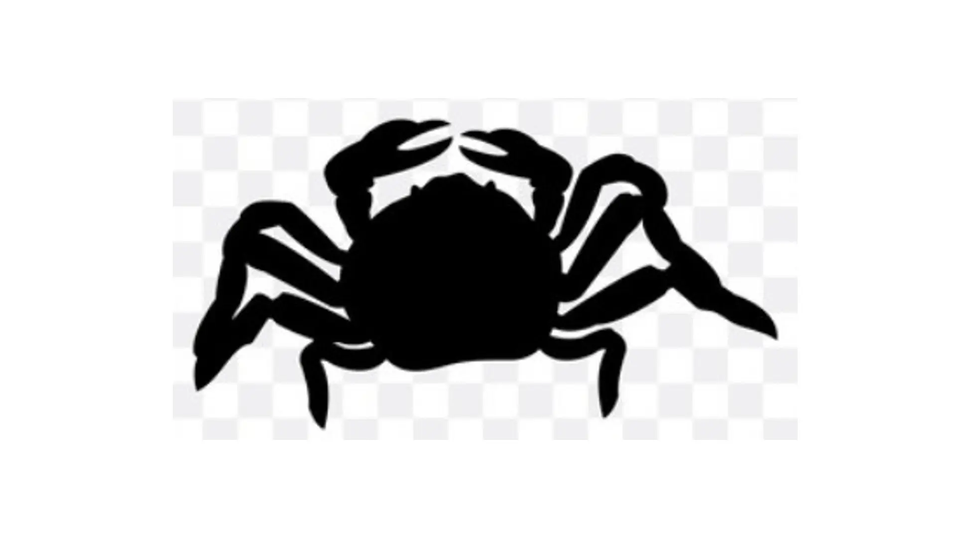 Creature acquatiche da 2D a 3D Serie 1( Silhouette 2D a 3D Creature acquatiche Serie 1)