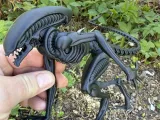 Alien, Xenomorph, monster from space-2