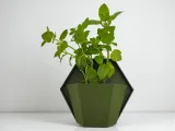 Geometric wall planter for herb gardens-3