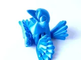 Bonito Pájaro Azul-4