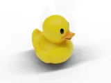 duck toy-2