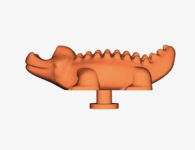 Crocodile Croc charm