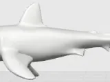 SHARK-1