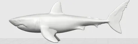 SHARK