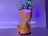 BOT PLANTER-6
