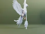 White Phoenix with Orb 3D Model-1