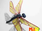 DRAGONFLY-6