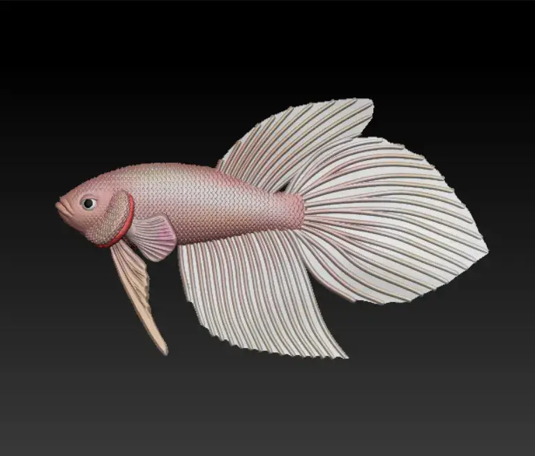 PESCE BETTA CODA DI VELO - PRONTO PER LA STAMPA 3D