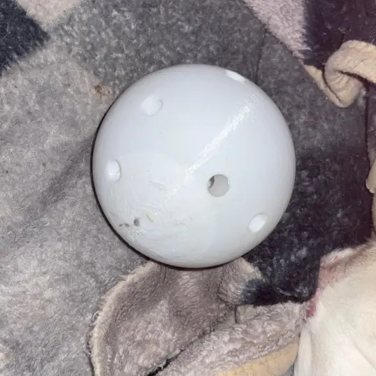 Feeder ball for dogs