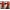 Drill Dust Collector and Guide V4
