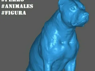 Terrier cachorro 