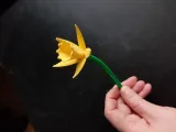 Easter Lily-2