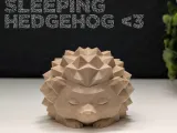 Low Poly Sleeping Hedgehog-0