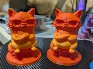 Grumpy Cat