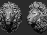 lion head-1