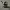 8 – Cheeky Number Eight Standing Figurine