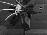 bloom 1-3