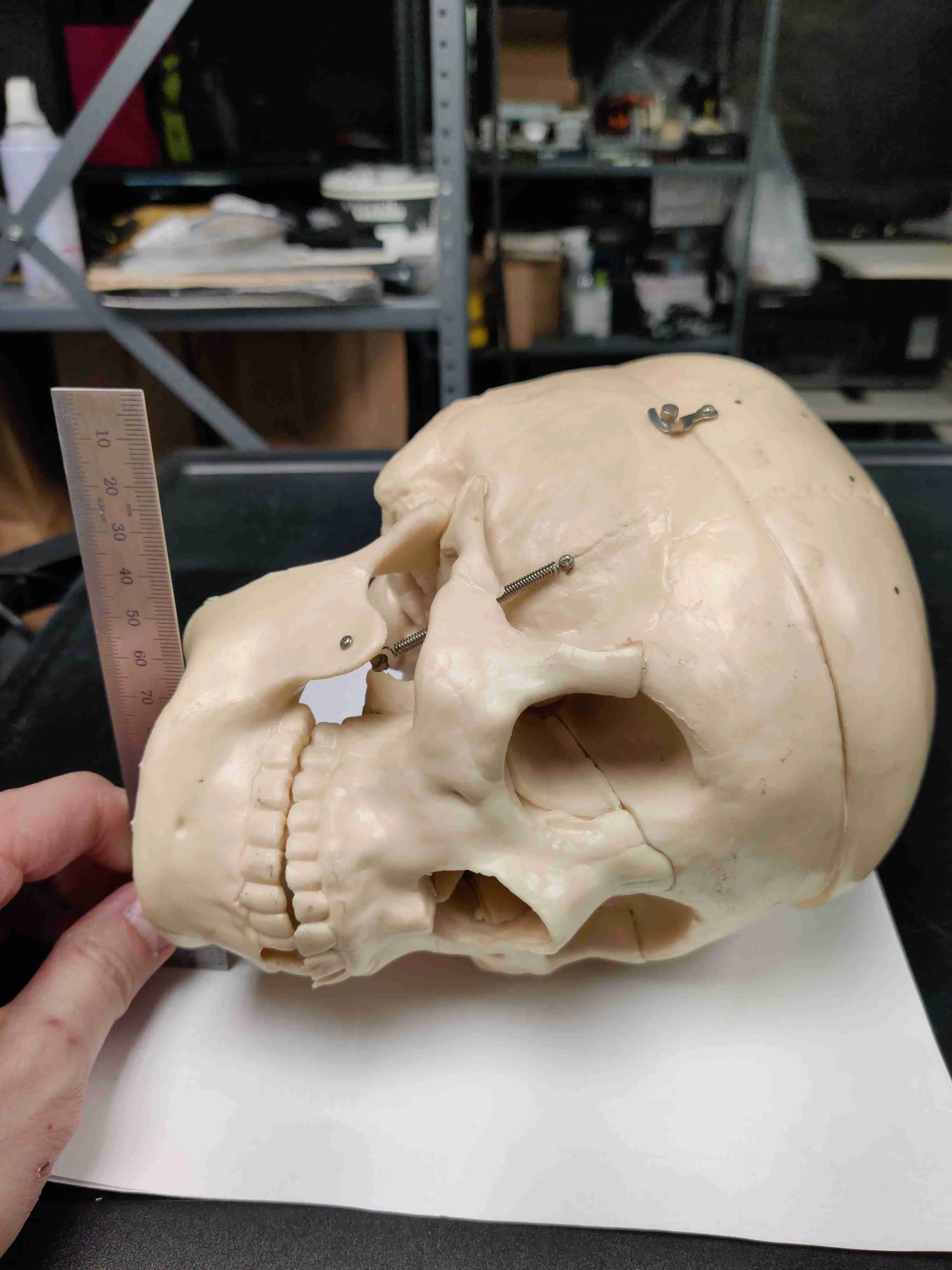 CR-Scan Ferret Scanning samples