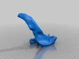 Great White Skull-5
