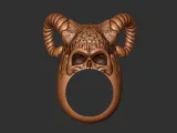 Skull King Ring 1-2