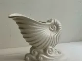 Sea shell-0