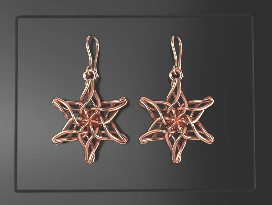 gallery-earring005｜アクセサリー