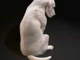 Guilty young labrador-3