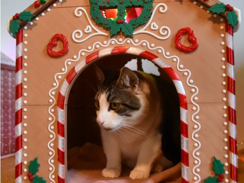 Gingerbread House Pet bed