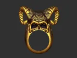 Skull King Ring 1-1