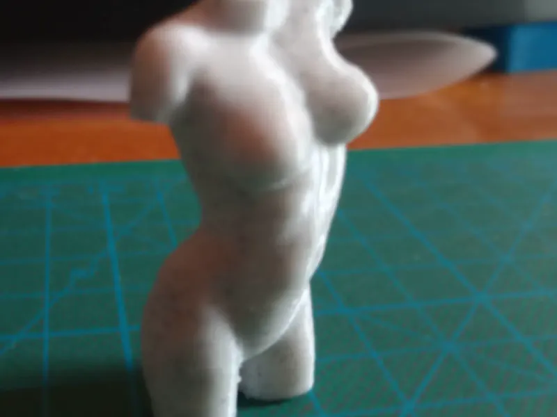 Female Torso Mannequin
