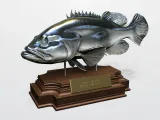 GROUPER-1