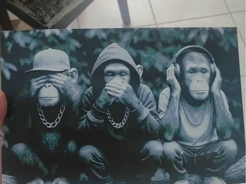 Singes Sages