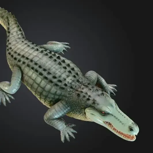 Crocodile