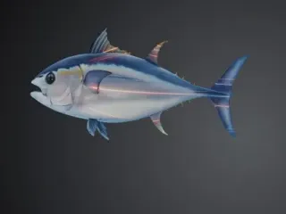Tuna